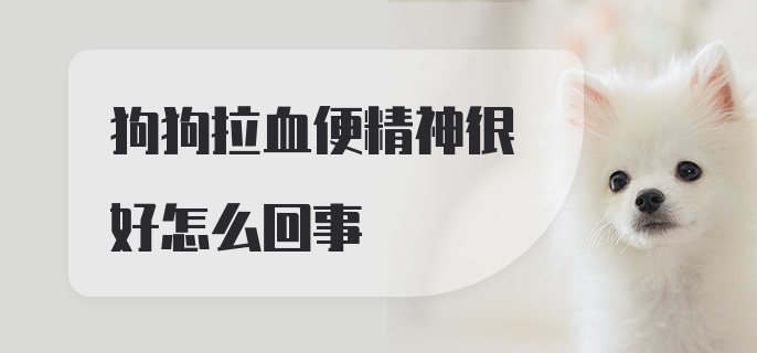 狗狗拉血便精神很好怎么回事