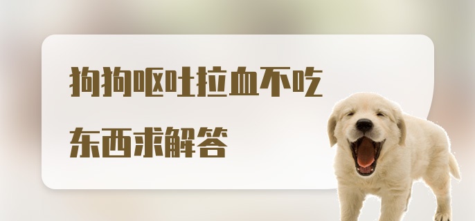 狗狗呕吐拉血不吃东西求解答