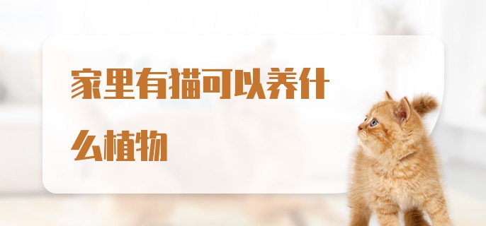 家里有猫可以养什么植物