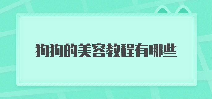 狗狗的美容教程有哪些