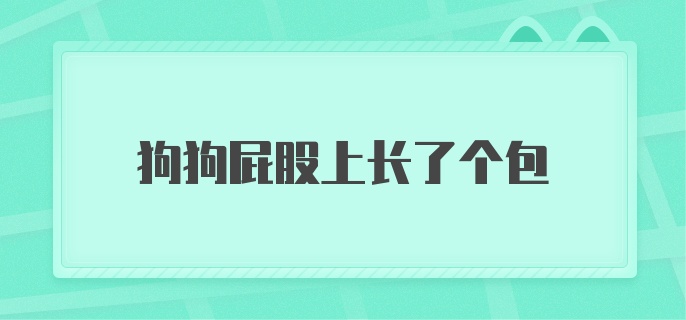 狗狗屁股上长了个包