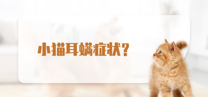 小猫耳螨症状？