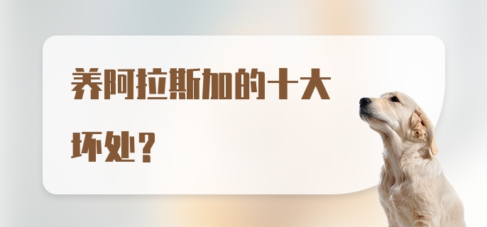 养阿拉斯加的十大坏处？