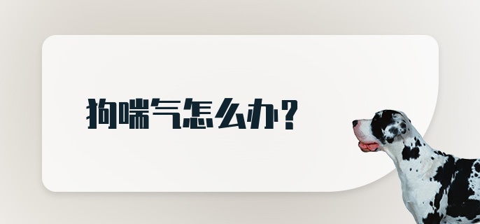 狗喘气怎么办？