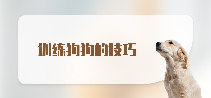 训练狗狗的技巧