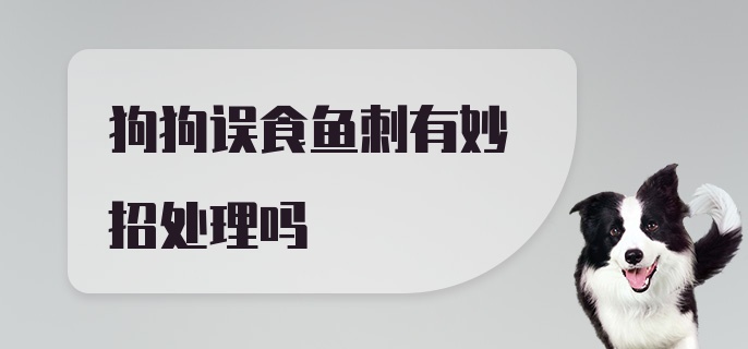 狗狗误食鱼刺有妙招处理吗