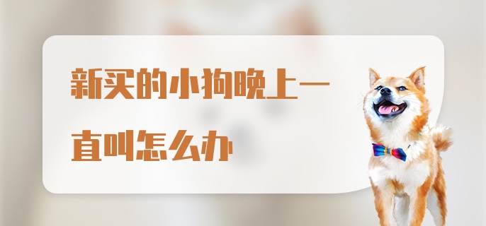 新买的小狗晚上一直叫怎么办