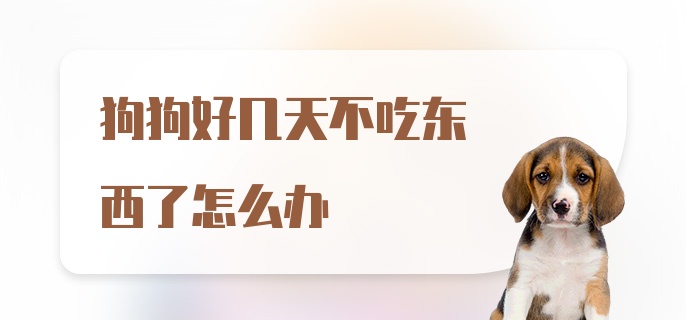 狗狗好几天不吃东西了怎么办