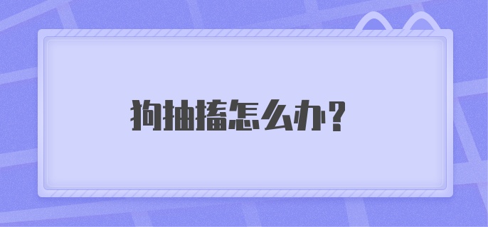 狗抽搐怎么办？