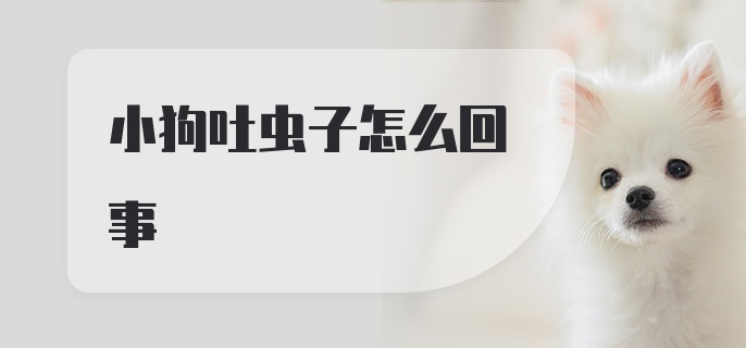 小狗吐虫子怎么回事