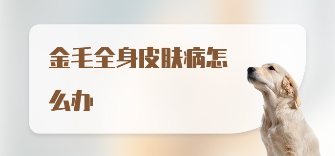 金毛全身皮肤病怎么办