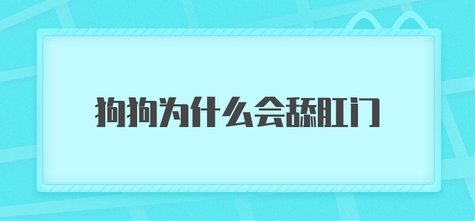 狗狗为什么会舔肛门