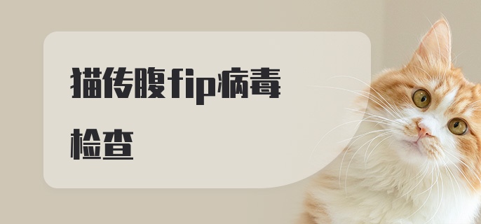 猫传腹fip病毒检查