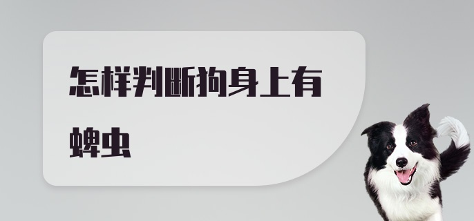 怎样判断狗身上有蜱虫