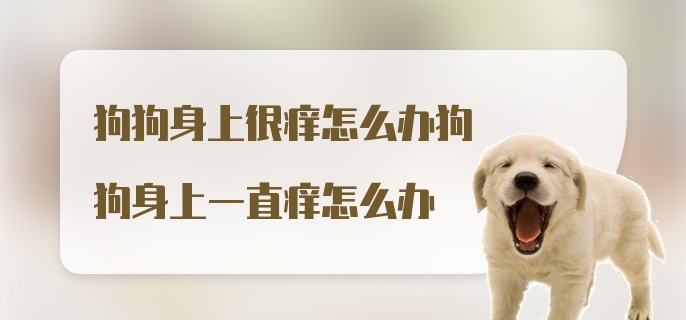 狗狗身上很痒怎么办狗狗身上一直痒怎么办