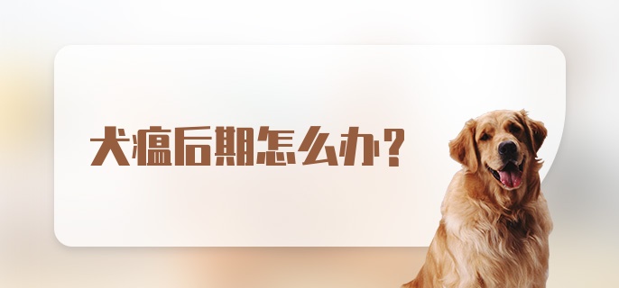 犬瘟后期怎么办？