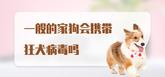 一般的家狗会携带狂犬病毒吗