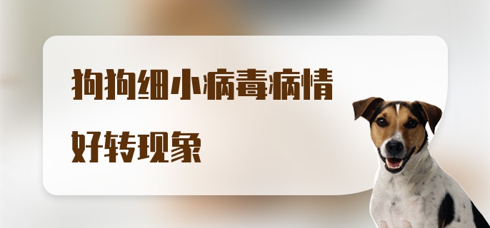 狗狗细小病毒病情好转现象