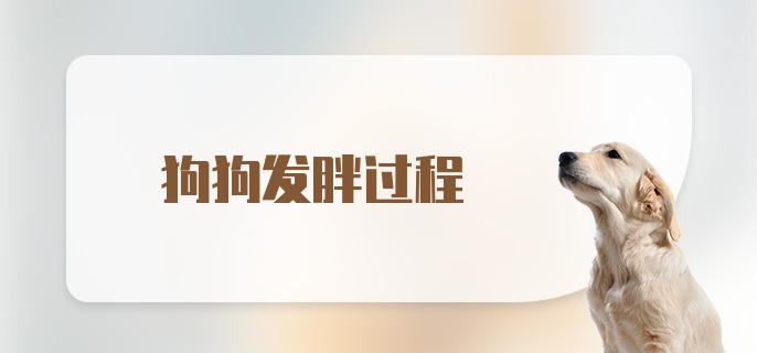 狗狗发胖过程