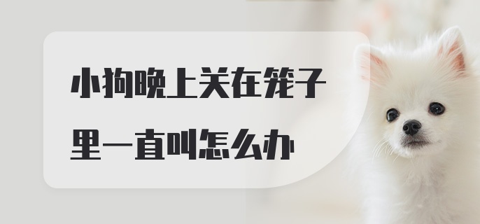 小狗晚上关在笼子里一直叫怎么办