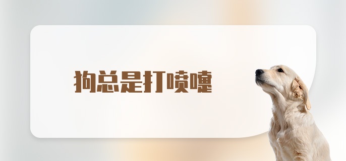 狗总是打喷嚏