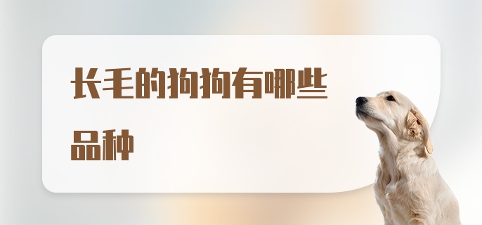 长毛的狗狗有哪些品种