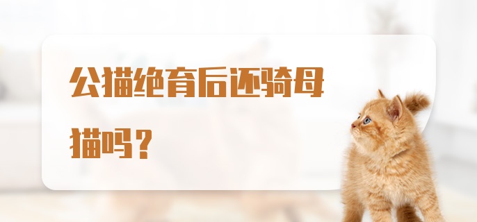 公猫绝育后还骑母猫吗？