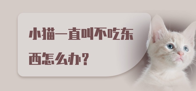 小猫一直叫不吃东西怎么办?