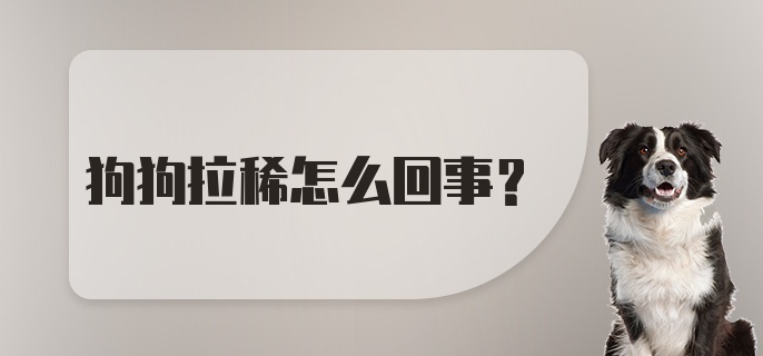 狗狗拉稀怎么回事？