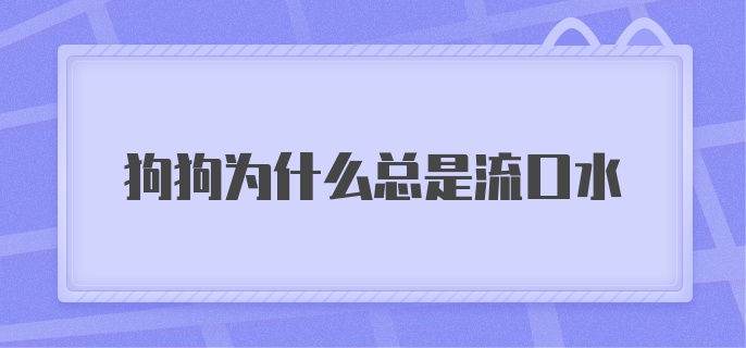 狗狗为什么总是流口水