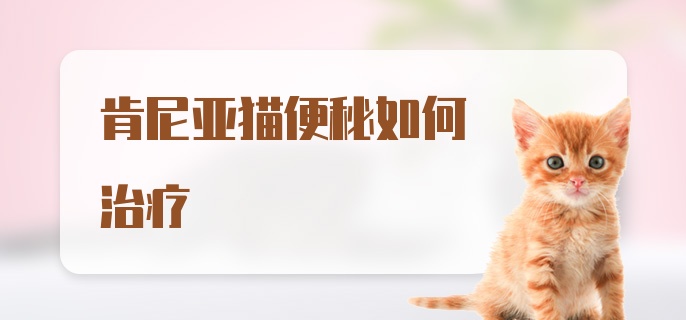 肯尼亚猫便秘如何治疗