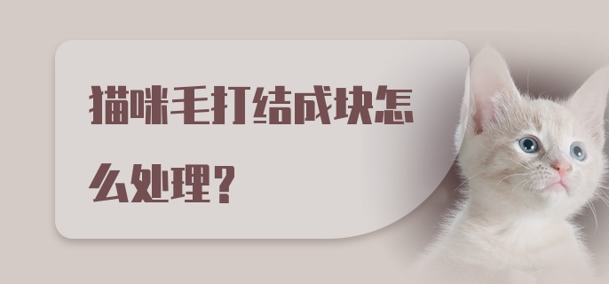 猫咪毛打结成块怎么处理？