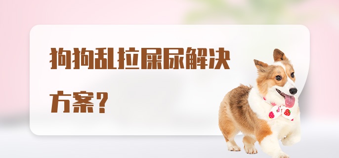 狗狗乱拉屎尿解决方案？