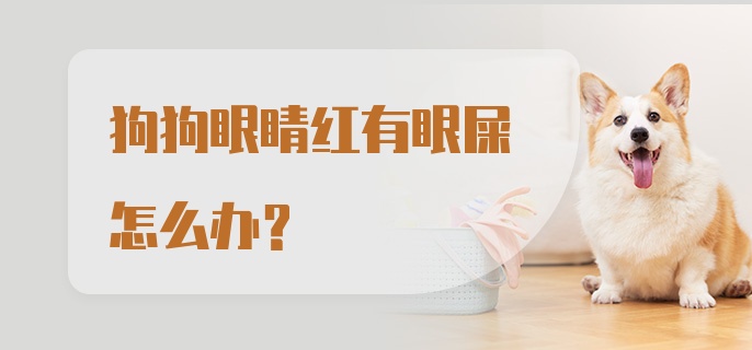 狗狗眼睛红有眼屎怎么办？