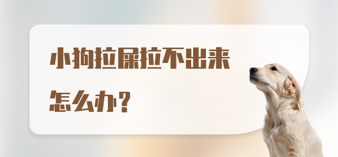 小狗拉屎拉不出来怎么办?