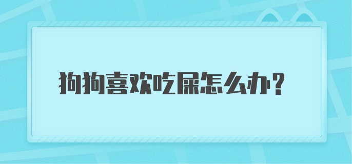 狗狗喜欢吃屎怎么办？