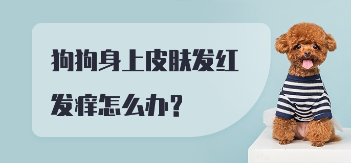 狗狗身上皮肤发红发痒怎么办?