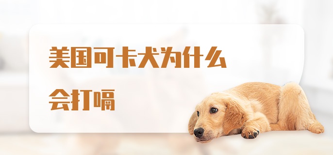 美国可卡犬为什么会打嗝