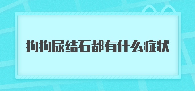 狗狗尿结石都有什么症状