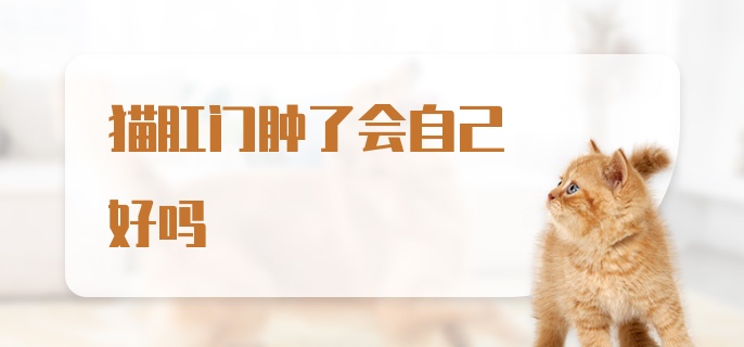 猫肛门肿了会自己好吗