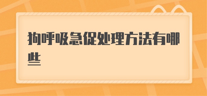 狗呼吸急促处理方法有哪些