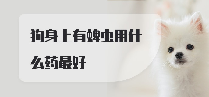 狗身上有蜱虫用什么药最好