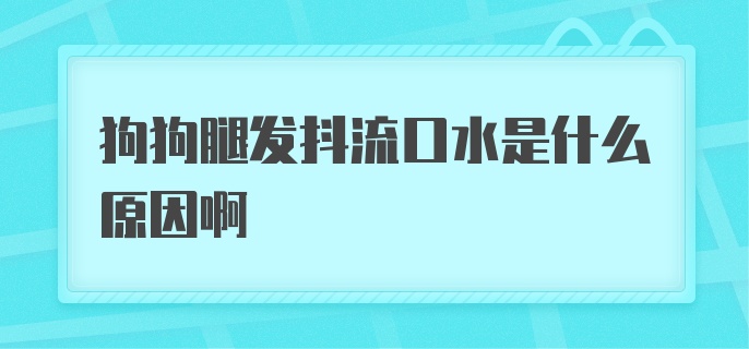 狗狗腿发抖流口水是什么原因啊