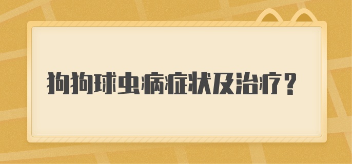 狗狗球虫病症状及治疗？