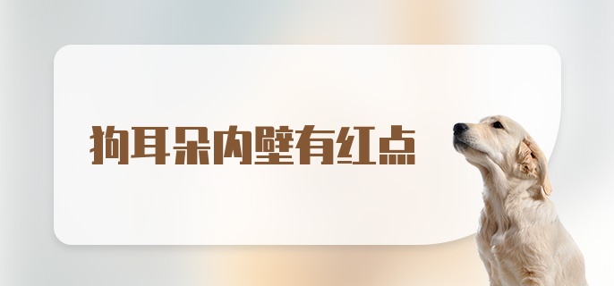 狗耳朵内壁有红点