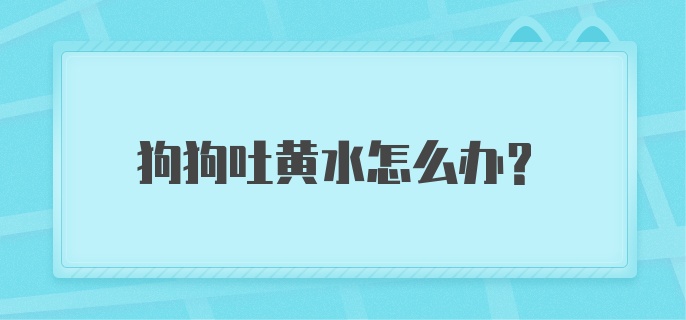 狗狗吐黄水怎么办？