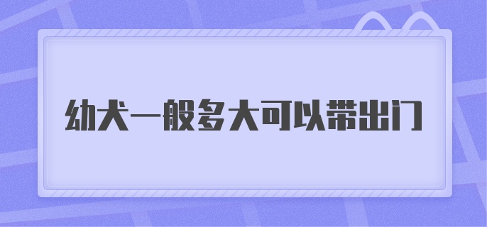 幼犬一般多大可以带出门