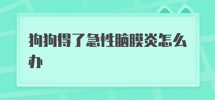 狗狗得了急性脑膜炎怎么办