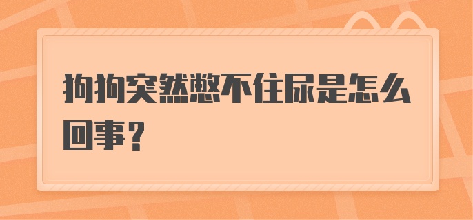 狗狗突然憋不住尿是怎么回事？