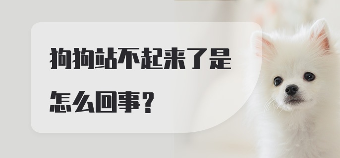 狗狗站不起来了是怎么回事?